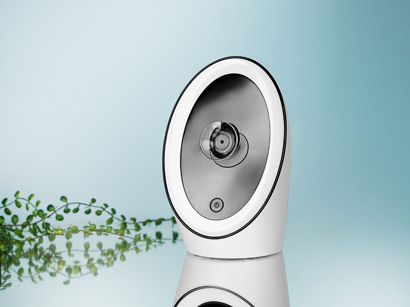 NANO-IONISK ANSIGTSDAMPER